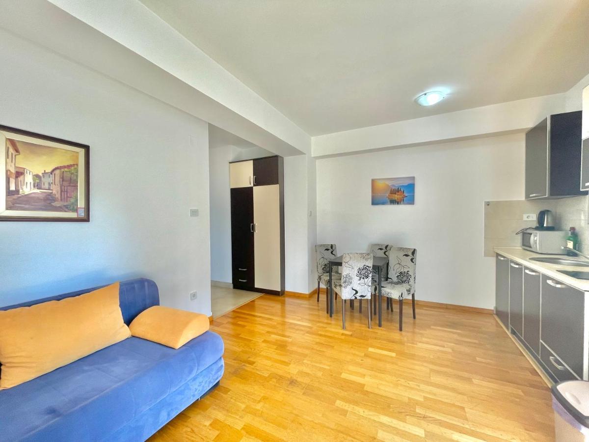 Apartment Comfort Aleksic *
